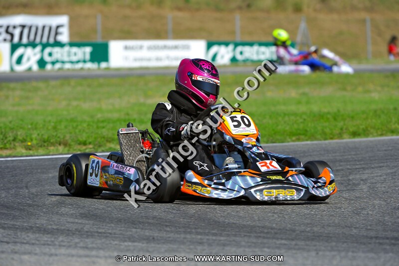 DSC_ (61).jpg